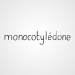 Monocotylédone