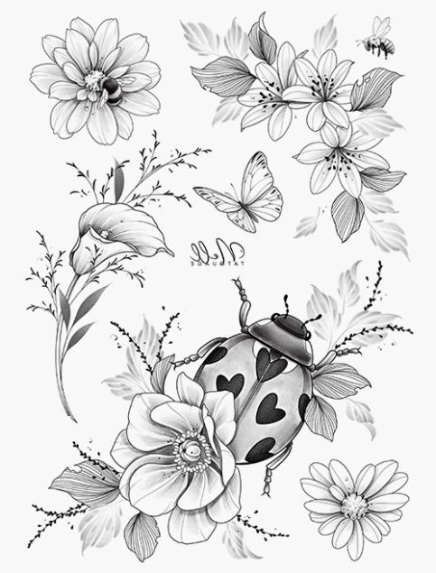 Gravure botanique - Image 2